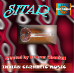 digital_music_maniac002009.jpg